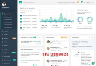 双轨管理系统与小程序开发 兰州与连云港地区的解决方案
